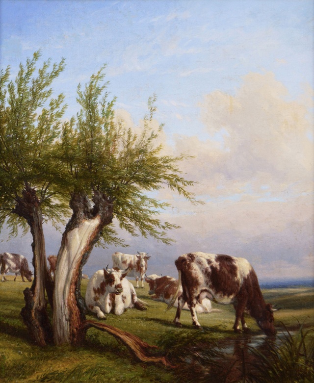 Cows with a Willow Tree