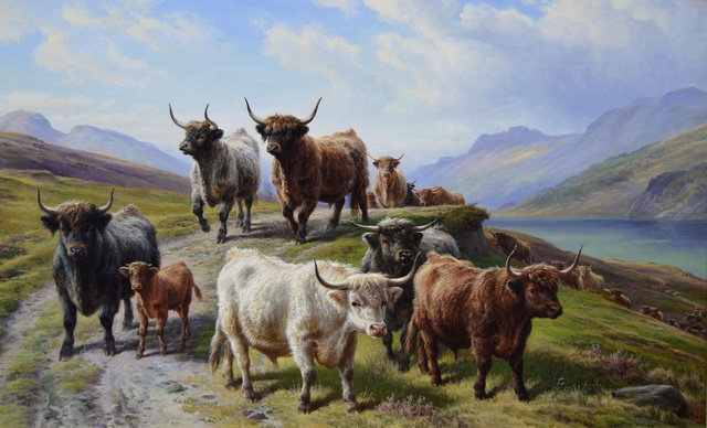 Highland Cattle by Loch Linnhe