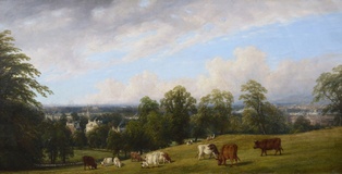 View from Newbold Hill