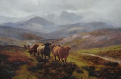 Moorland Rovers, Glen Falloch, Perthshire