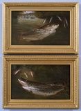 Trout & Pike