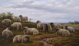 Sheep in a Landscape