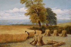 Harvest Time