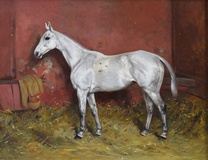 A Fleabitten Mare