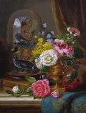 Still Life of Flowers & Birds