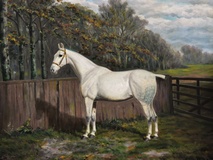 Pen-y-Lan Queenie