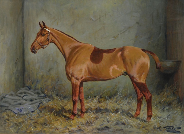 Chestnut Hunter in a Stable