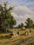 Harvesting near Hastings