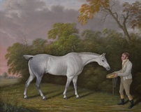 Catching a Horse