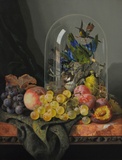 Still Life of Fruit & Exotic Birds