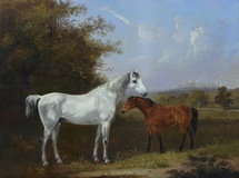 Mare & Foal in a Meadow, with Windsor Castle in the Distance